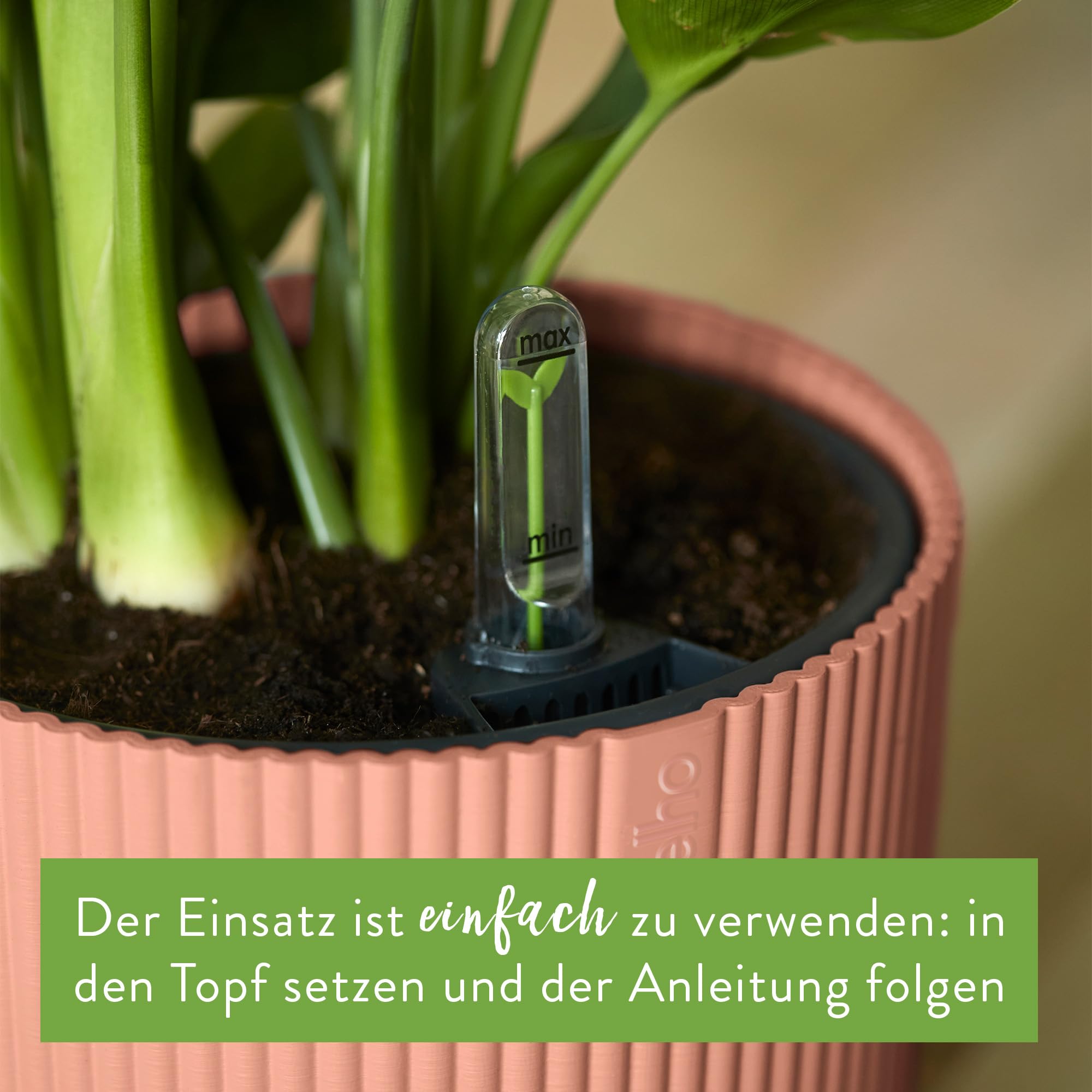 elho-vibes-fold-rund-22-blumentopf-mit-bew-sserungssystem-zartrosa image 5